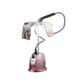 RAF Garment Steamer 1800W R.3036