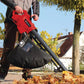 EINHELL ELECTRIC LEAF BLOWER & VACUUM
